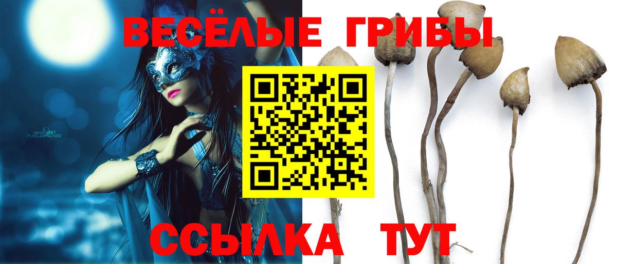 Галлюциногенные грибы MAGIC MUSHROOMS Дмитров
